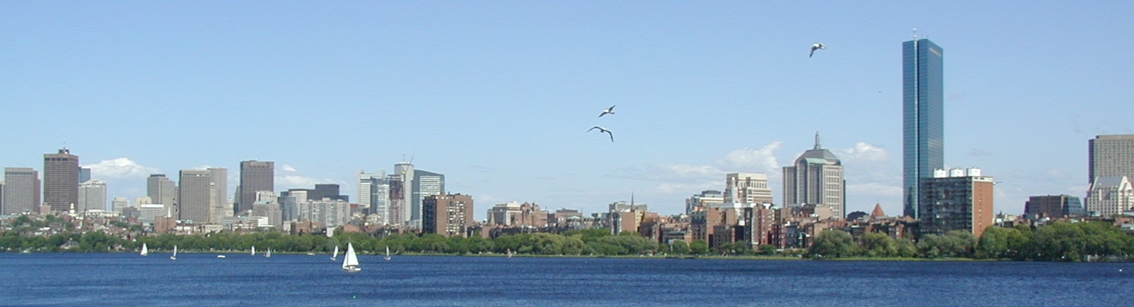 The Boston skyline seen across the Charles River